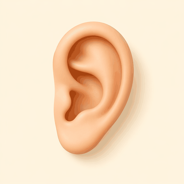 oreille