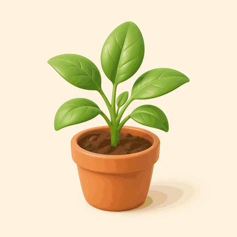 Plant